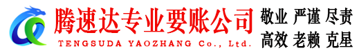 泰安讨账公司